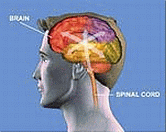 vimeo.com abnormal or uncontrollable movements of face, tongue, or other parts of the body could become permanent - Big Pharma doesn't want you to see video footage of drug-induced movement disorders